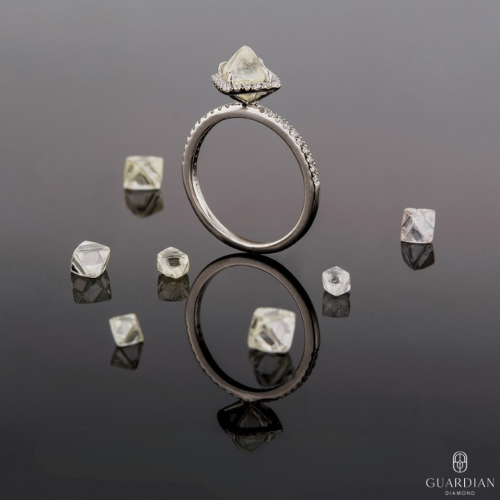 The Unexpected Community of Guardian Diamond Owners