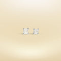 Midget Earrings
