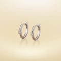 Single Hoop Earrings