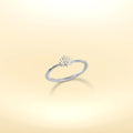 Sugar Palm Leaf Ring